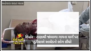 શિહોર : ટાણાથી જાંબાળા ગામના માર્ગ પર ખુંટીયાએ આધેડનો ભોગ લીધો