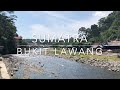 Bukit Lawang Sumatra - Sumatera - Indonesia - Heaven on earth - Best village - wildlife - orangutans