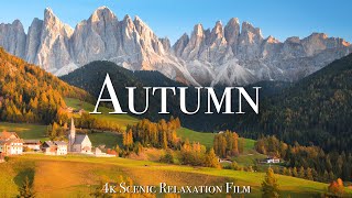 Autumn 4K - Scenic Relaxation Film With Calming Music