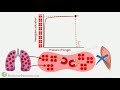 factors shifting oxygen hemoglobin dissociation curve