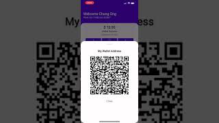 Introducing QR Code Wallet Transfer system. Now you can send or receive payments on the app!