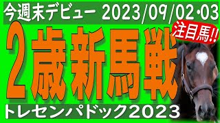 ２歳新馬戦の注目馬を映像チェック ! !  2023年9月02/03日に実戦デビュー。馬の詳細は概要欄に。最短目的レースまでのチャプター可。トレセンパドック2023