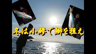 【海釣り情報】小鯵の泳がせ釣り＆ジギングで伊勢湾の鰤を撃破する！