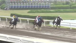 2024年5月31日浦和競馬能力調教試験