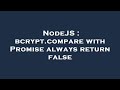 NodeJS : bcrypt.compare with Promise always return false