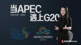 180秒数据解读：当APEC遇上G20_180秒数据解读：当APEC遇上G20 #环球叶问 20241114