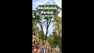 What Threats Face Temperate Deciduous Forests Shorts