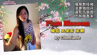 English: Plum Blossoms Song lyrics ,《梅花 • 王安石 》, 墙角数枝梅 凌寒独自开, 梅花 歌曲，古诗歌曲, original song, Spring Song