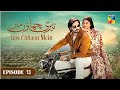 Teri Chhaon Mein - Ep 13 [CC] - 15th August 2024  - Danish Taimoor Drama