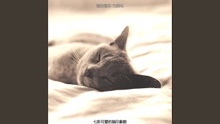 优美压力大的猫器乐