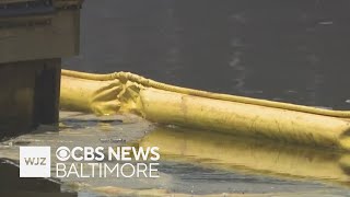 Johns Hopkins promises to pay to clean massive diesel fuel spill in Baltimore harbor