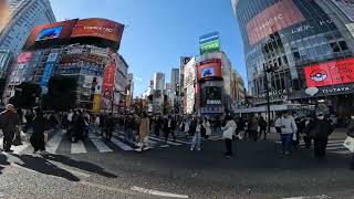 Shibuya Crossing Dec '24 - Whānau Trip