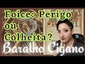 BARALHO CIGANO| FOICE: CORTE OU COLHEITA? respondendo comentários 2