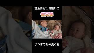 手をギュッ！いつまでも仲良くね！従兄弟の赤ちゃん【生後4ヶ月】#shorts