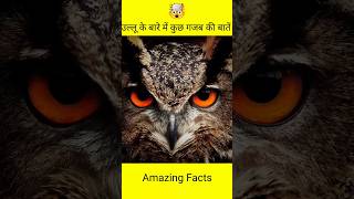 उल्लू के बारे में कुछ गजब की बातेंowl Amazing facts #shorts