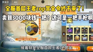 全服首届王者cop赏金令终于来了！卖到3000块钱一把？