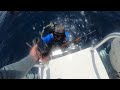 2022 tbsc spearfishing tournament 4k