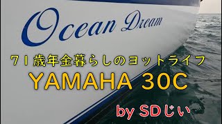 2023年5月に60万円で購入した中古艇\