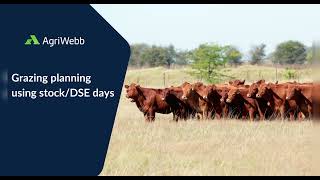 AgriWebb Academy | Grazing Planning - Rotational Planner using the Stock/DSE Days Plan Type