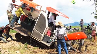 Incredible Harvester Machine Driver Fails And Recovery | Life Cycle Agriculture Equipment Machine