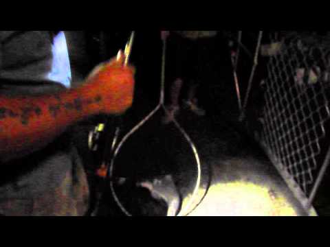 how to catch brisbane river bull sharks....B105 how to catch brisbane river bull sharks....B105