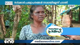 എട്ട് വർഷത്തിനിടെ കാട്ടാന ആക്രമണത്തിൽ നഷ്ടമായത് 12 ജീവനുകൾ; ആറളം ഫാമിൽ വന്യമൃഗശല്യം ദിനംപ്രതി രൂക്ഷം