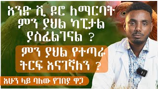 አሁን ላይ ባለው የገበያ ዋጋ አንድ ሺ ዶሮ ለማርባት ምን ያህል ካፒታል ያስፈልገናል ? ከ አንድ ሺህ ዶሮዎች ምን ያህል የተጣራ ትርፍ ( ገቢ) እናገኛለን ?