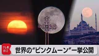 世界のスーパームーン（2021年4月28日）