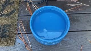 Heated Water Bowl for Dog \u0026 Cat Outdoor Heated Dog Bowl Heated Water Dish #waterbowl #dogbowl