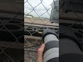 Photographer #POV - British GT Race Start #gt3 #carracing