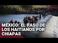 Migrantes HAITIANOS huyen del estado mexicano de Chiapas en peligrosas rutas