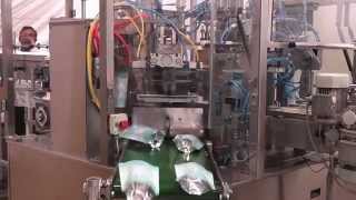 Pick Fill Seal Machine (Duplex) for Packing products in Pouches - Pakona Engineers