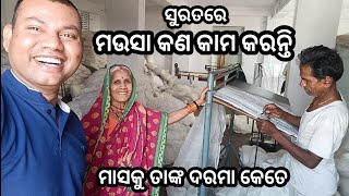 ସୁରତରେ ମଉସା କଣ କାମ କରନ୍ତି | Suratre Mausa Kemiti Kaam karanti