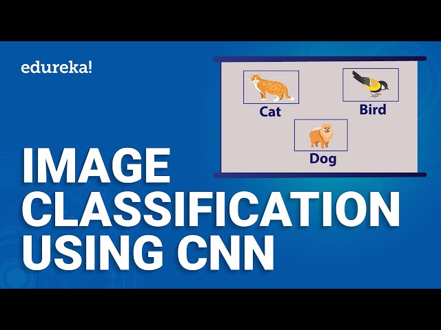 Image Classification Using CNN Transfer Learning Computer, 45% OFF