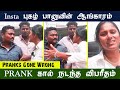 PRANK கால் நடந்த விபரீதம் | Insta புகழ் பானுவின் ஆங்காரம் #prankvideo #prank #shakilabanu