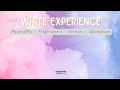 😉 Despierta tus sentidos con la White Experience de Espectáculos Vertigo 🌟