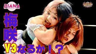 ワールド女子プロレス・DIANA 2024.2.11新木場大会ダイジェスト【梅咲遙】【笹村あやめ】【美蘭】【世羅りさ】玉川ボールのスリーカウントは叩かせない！】