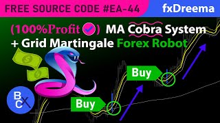 (100%Profit) MA Cobra System + Grid Martingale Forex Robot Trading - Free source EA-44 by fxDreema