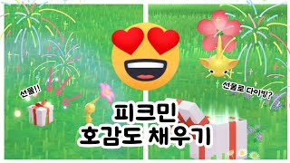 [피크민블룸] 호감도를 채우면 선물을 가지고온다!!