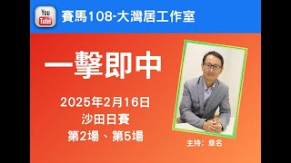 章名@賽馬108-大灣居工作室:2月16日沙田日賽心水-R2、R5 #hkjc #香港賽馬 #賽馬貼士 #賽馬#跑馬地馬場#谷草夜賽#沙田賽事#草地日賽#沙田草地日賽#沙田日賽