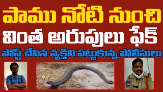 Karimnagar Snake Meking a Strange Noise పాము నోటి నుంచి వింత అరుపులు ఫేక్ snakes snake bite