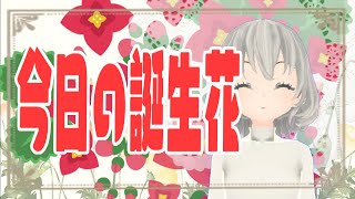 【花言葉】１２月１１日の誕生花は？／花白もか