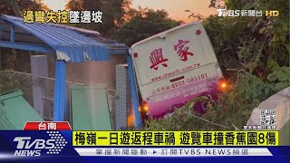 遊覽車墜坡撞進香蕉園 乘客驚逃8人送醫｜TVBS新聞