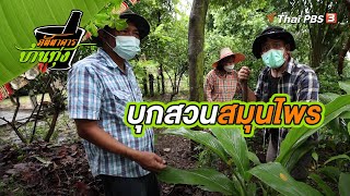 บุกสวนสมุนไพร | คลิปบ้านทุ่ง