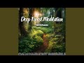 Meditation with Nature Sounds