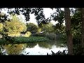 神奈川県東横線沿線のパワースポット（イヤシロチ）　妙蓮寺・菊名池・馬場花木園