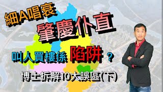 【灣區博士沈永年】細A唱衰肇慶｜仆直叫人買樓系陷阱？｜博士拆解10大誤區(下)