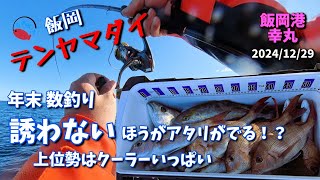 【テンヤマダイ】年末の数釣り 何もしないで釣れる！クーラーいっぱいの好釣果【飯岡港 幸丸】