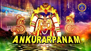 Srivari Brahmotsavam || Ankurarpanam || Tirumala || SVBC2 Tamil || 06-10-2021 || SVBCTTD TAMIL