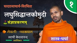 लघुसिद्धान्तकौमुदी | laghu siddhanta kaumudi | BY Swami Keshavananda ep- 1